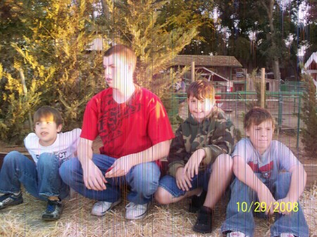 My boys on a hay ride