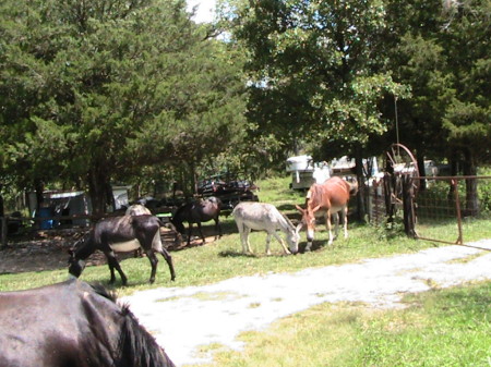 An Okie lawnmower service on the Job