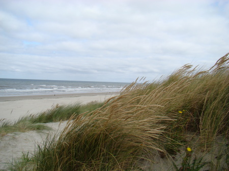 The North Sea beach of Vlieland