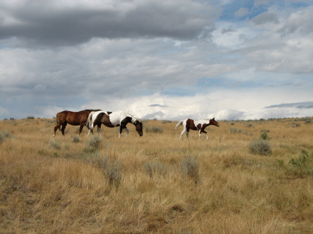 Little Big Horn Battlefield Montana