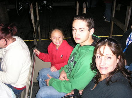 Disneyland 2008