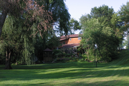 Back of the house in the Summer