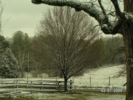 Snow 2009