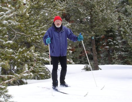 Cross-country skiing - 2008