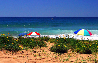 A day at the Beach