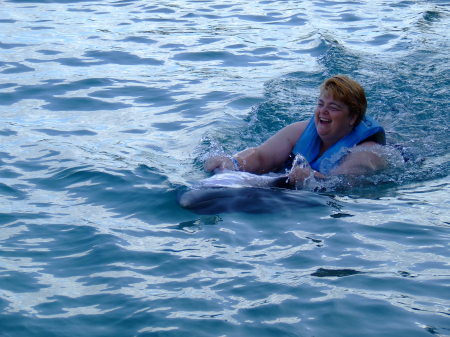 Dolphin ride in Jamacia