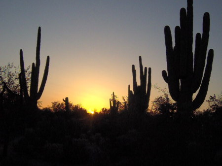 Tucson, Az.