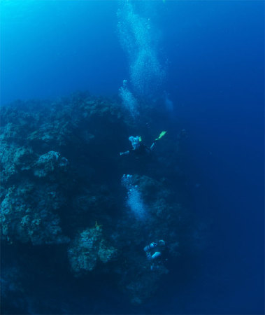 Scuba 2009