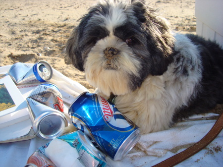 Seventeen loves the beach!