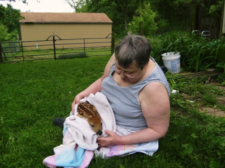 Newborn fawn and Grandma Dee