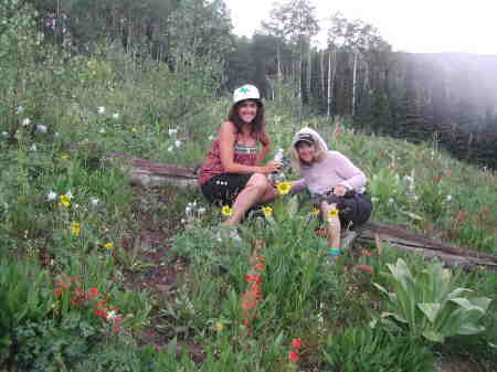 Columbines at Cataract Lake