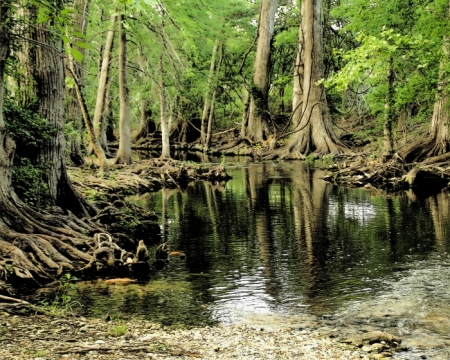 Cibolo Creek