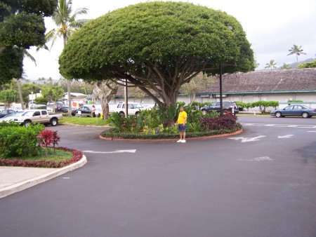 Hawaii  4  2008 017