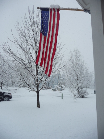 Our beautiful snow!  Leawood, Kansas
