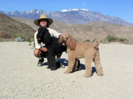 Me & my posse on a Spring hike