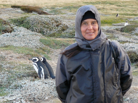 Pinguineras, Punta Arenas