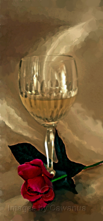 White Wine and Red Rose