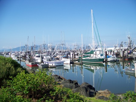 Bellingham marina