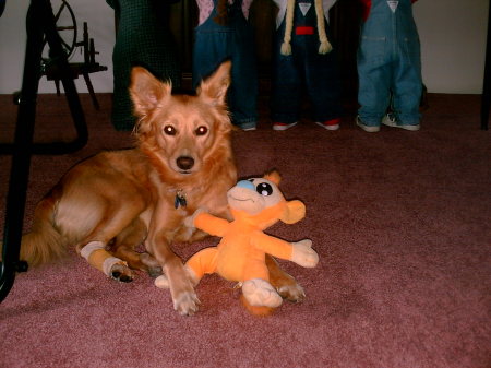 this is our dog layla, with her toy monkey