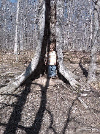 Hurley being hugged by a tree