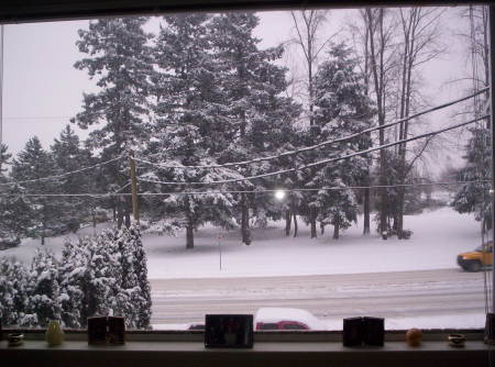Winter 2008 -view from my livingroom