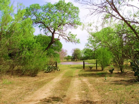 The Old Tank at Los Olmos