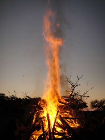 The Bonfire
