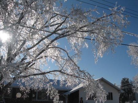 December 2008 Ice Storm