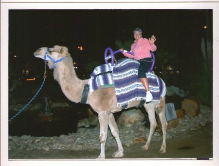 Camel Ride Oct 09
