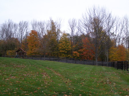 My Home in NY State Circleville, NY