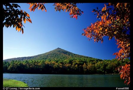 Blue Ridge Pkway  In Georgia