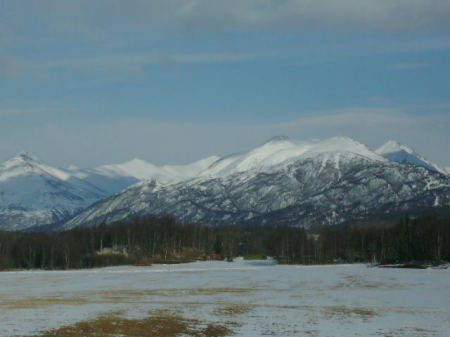 Closeup of the Chugiak