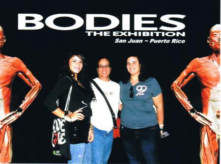 bodies