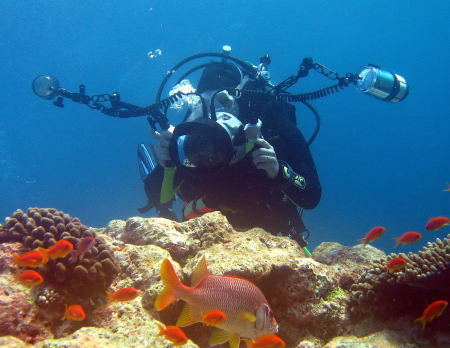 Underwater in the Maldives - Dec 2007