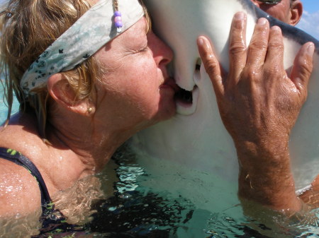 French kissing a stingray