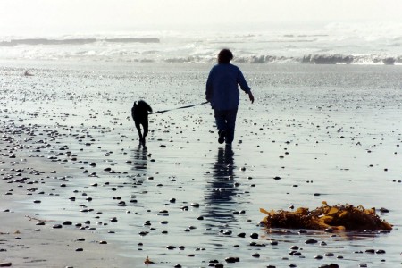 On the Beach in San Diego in December