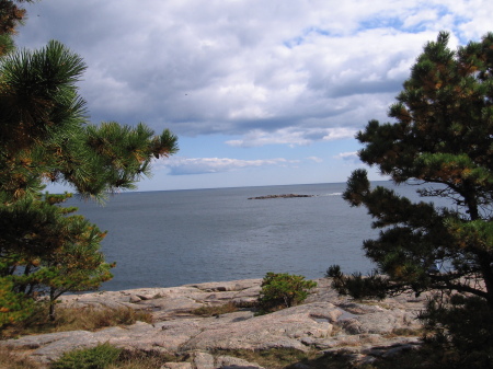 Scenic view along Acadia Nat'l Park coastline
