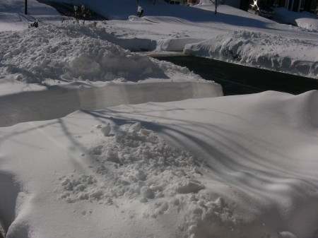 Virginia Blizzard