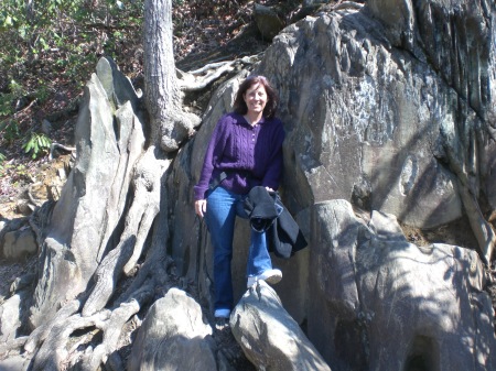 Hiking in Smoky Mountains - march 2009