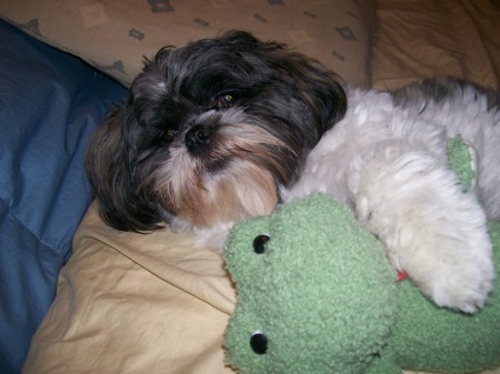 Doby with his frog