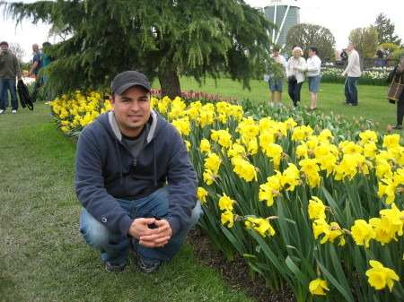 Tulip Festival 2009