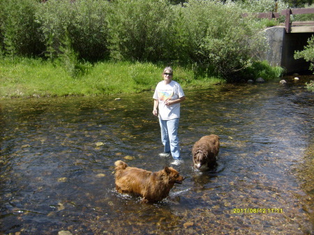 RooBear,Chance and Diane