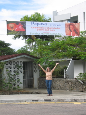 Banner shot from the launch of my latest book.