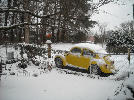 Snow 2010