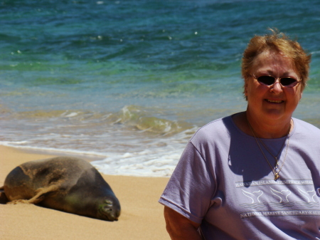 Sandy and the Hawaiian Monk Seal-Kauai