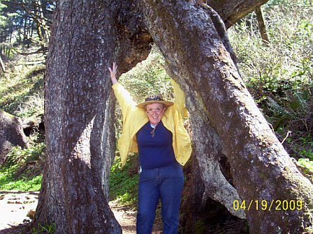 Me and the Octopus Tree