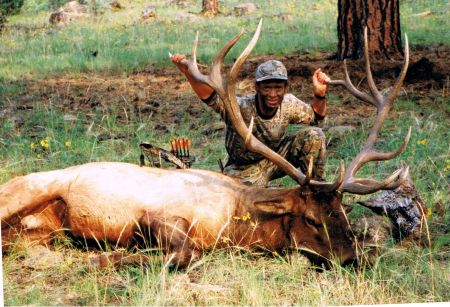 1998 Trophy Archery Elk