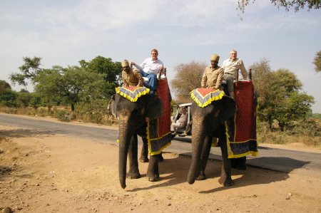 Ranthambore, India