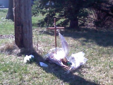 Timothy's Memorial