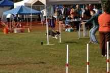 Kelsey and I working our agility